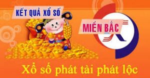 Dự đoán xổ số 13/12